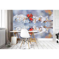 Een fotobehang met een vlinder die zich weerspiegelt in het water, omringd door bloemen, dat een magische en natuurlijke sfeer geeft. Dit ontwerp brengt een natuurlijke en elegante touch aan het kantoor.