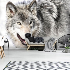 Een fotobehang met een wolf in een besneeuwde omgeving voor de huiskamer.