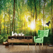 Een fotobehang van een zonnig bos met zonnestralen door de bomen te zien in de huiskamer.