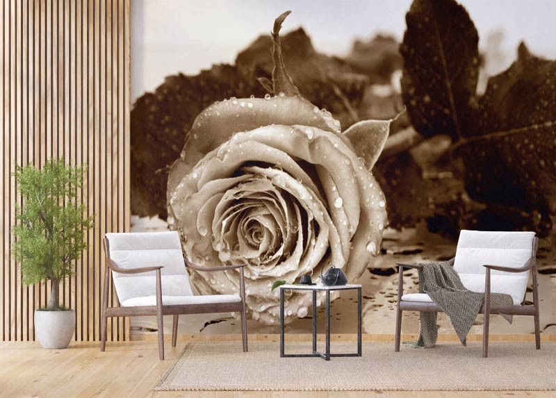 Livingwalls