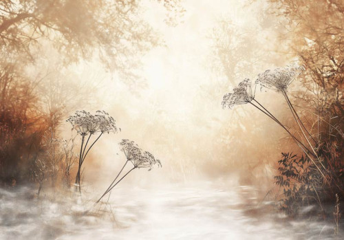 Fotobehang met een dromerig landschap vol mist en wildbloemen in warme retro kleuren.