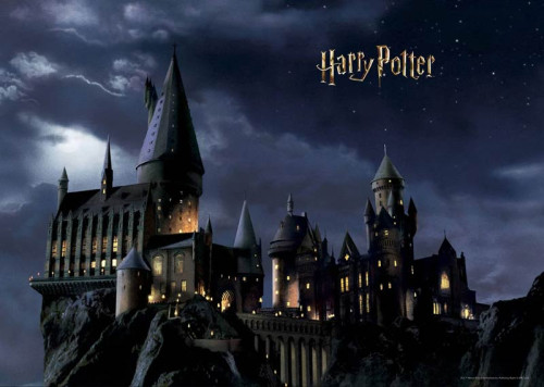 Een fotobehang met Harry Potter’s Zweinstein in de nacht, waarin het iconische kasteel mysterieus oplicht onder een sterrenhemel, omringd door een magische sfeer.