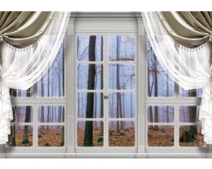 3D-fotobehang met uitzicht op een herfstbos en bomen, gezien door een raam.