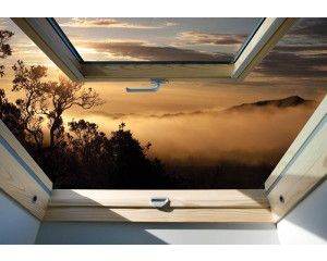 3D fotobehang met uitzicht op een mistig bos door een raam, met natuur in de hoofdrol.