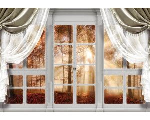 Fotobehang van uitzicht op een herfstbos met bomen en 3D-effecten door een raam.