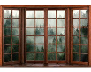 Fotobehang van een 3D-raamzicht op een mistig bos, met een mysterieuze uitstraling.