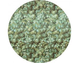 Groene natuur met diverse planten op een muurcirkel voor een natuurlijke uitstraling.