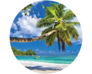 Een prachtige palmboom aan de rand van een zonnig strand, perfect weergegeven op een behangcirkel.