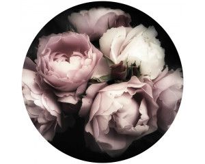 Roze en witte pioenrozen in volle bloei, gedetailleerd weergegeven op een behangcirkel met levensechte accenten.