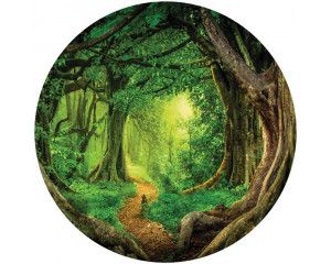 Tropisch regenwoud met weelderige jungle en bomen, schitterend weergegeven op een behangcirkel.