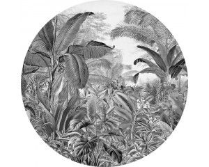 Wilde jungle met bomen en planten op een natuurlijke muurcirkel.