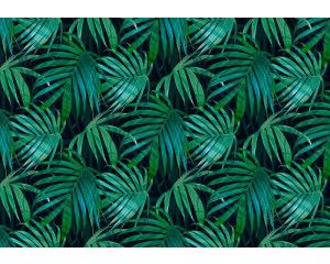 Groene tropische bladeren in een dichtbegroeide jungle, fotobehang dat natuur en frisheid uitstraalt.