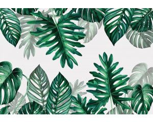 Botanisch bladeren fotobehang met tropische bladeren in een jungle setting, ideaal voor een natuurlijke sfeer.