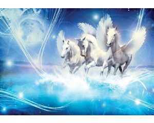 Fotobehang van een prachtige unicorn.