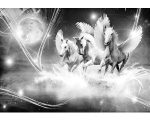 Een fotobehang met vrolijke unicorns.