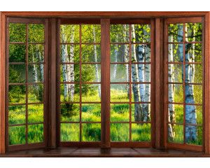 Fotobehang van een 3D-raamzicht op een berkenbos, met hoge bomen en een serene sfeer.