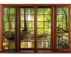 Fotobehang van een 3D-raamzicht op een zonnig boslandschap, met bomen en een warme gloed.