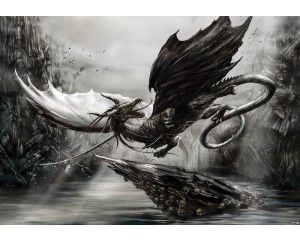 Draak en alchemie, fotobehang met magische en duistere thema's voor een mysterieuze sfeer.