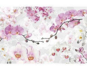 Roze bloemen met een elegante uitstraling, weergegeven in dit fotobehang, ideaal voor een verfijnde ruimte.