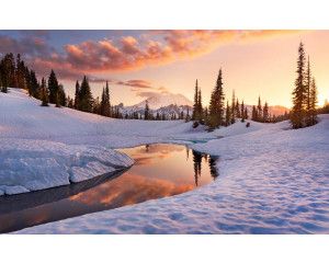 America the Beautiful winter landschap fotobehang, met een prachtig besneeuwd landschap.