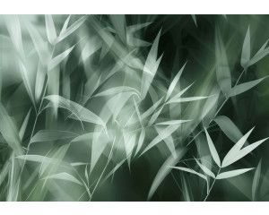 Fotobehang met artistiek getekende bamboebladeren in natuurlijke tinten op een donkere achtergrond.