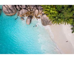 Fotobehang van een tropisch paradijs met palmbomen, helderblauw water en een gouden strand onder een stralende zon.