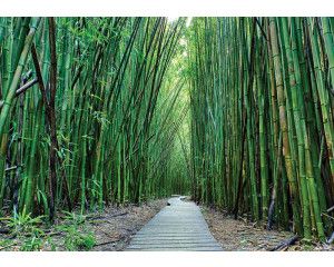Panterprint op fotobehang, gedetailleerd en stijlvol dierenmotief.