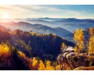Fotobehang van een bosrijk gebied met bergen op de achtergrond, met groene bomen die de natuurpracht van het landschap benadrukken.