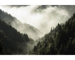 Fotobehang van bergen gehuld in mist, met een uitgestrekt boslandschap op de voorgrond.