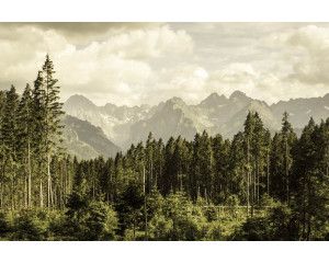 Fotobehang van bergvalleien en bosranden, met een prachtig landschap van groene heuvels en bergen.