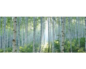 Fotobehang met een luipaard in tropisch regenwoud tijdens de regen.