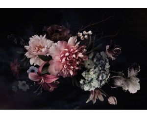 Boeket bloemen op een zwarte achtergrond met levendige kleuren en contrast, fotobehang dat elegantie en luxe uitstraalt.