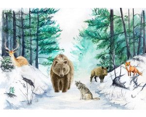 Fotobehang met bosdieren zoals een beer, hert, wolf en vos in een schilderachtige avontuurlijke omgeving. Een speels en charmant ontwerp.