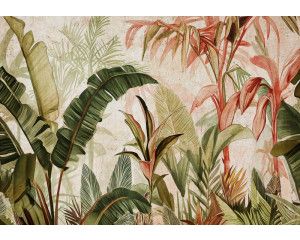 Fotobehang van botanische jungle bladeren op beton, in een natuurlijke en tropische setting.