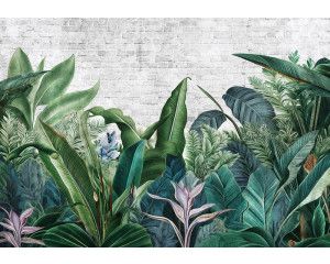 Fotobehang van botanische jungleplanten in een weelderige en tropische setting.