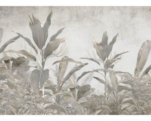 Fotobehang met een weelderige botanische jungle-afbeelding, vol groene tinten en levendige bladeren, perfect voor een natuurlijke en tropische uitstraling.