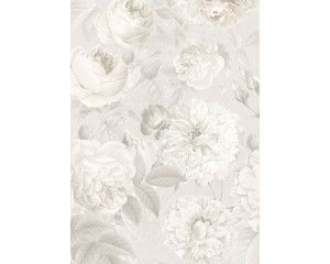 Centifolia muscosa mosroos bloemen, weergegeven in een abstract en gedetailleerd fotobehang voor een elegante uitstraling.