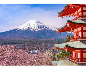 Fotobehang met Chureito Pagode en Mount Fuji en een kersenbloesem in de lente, in Japan.