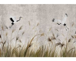 Fotobehang Dansende Kraanvogels boven het Hoge Gras