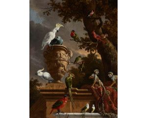Fotobehang met een levendige verzameling exotische dieren en vogels, waaronder doodshoofdaapjes, kaketoes, een roodstaartpapegaai en een vrouwenlori, geïnspireerd op het schilderij De Menagerie van Melchior d’Hondecoeter.