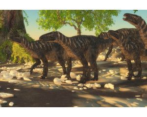 Een dino-familie, bestaande uit verschillende soorten dinosaurussen, afgebeeld op een speels fotobehang.