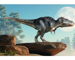 Een dinosaurus die op een rots staat, terwijl het omliggende landschap een groots prehistorisch tafereel biedt op dit fotobehang.