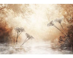 Fotobehang met een dromerig landschap vol mist en wildbloemen in warme retro kleuren.