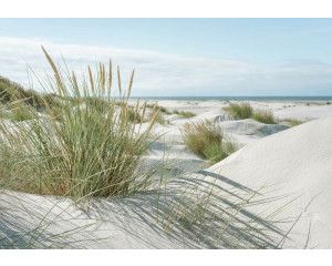 Fotobehang helmgras op zandduinen met uitzicht op zee bij zonsondergang.