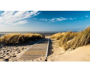 Fotobehang van duinen aan het strand, met een weids uitzicht op de zee en natuurlijke elementen.