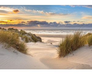Fotobehang Duinen bij de Noordzee