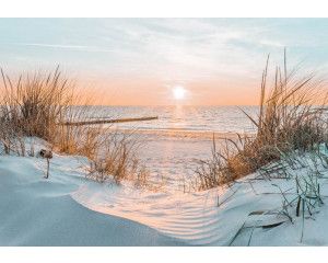 Fotobehang dat een zonsopkomst boven een strand en duinen weergeeft, met een serene zee op de achtergrond.