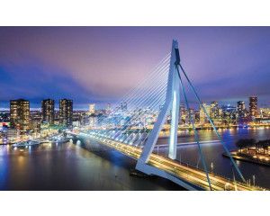 Erasmusbrug in Rotterdam met een skyline van de stad op dit fotobehang, met een moderne en stedelijke uitstraling.