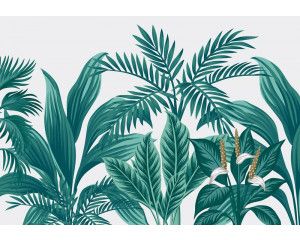 Exotische planten in een tropische jungle setting, fotobehang dat de natuur tot leven brengt met frisse groentinten.