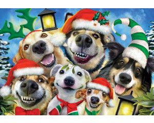 Funny honden en kerstmis, dolle beestenboel fotobehang voor een vrolijke en feestelijke sfeer.